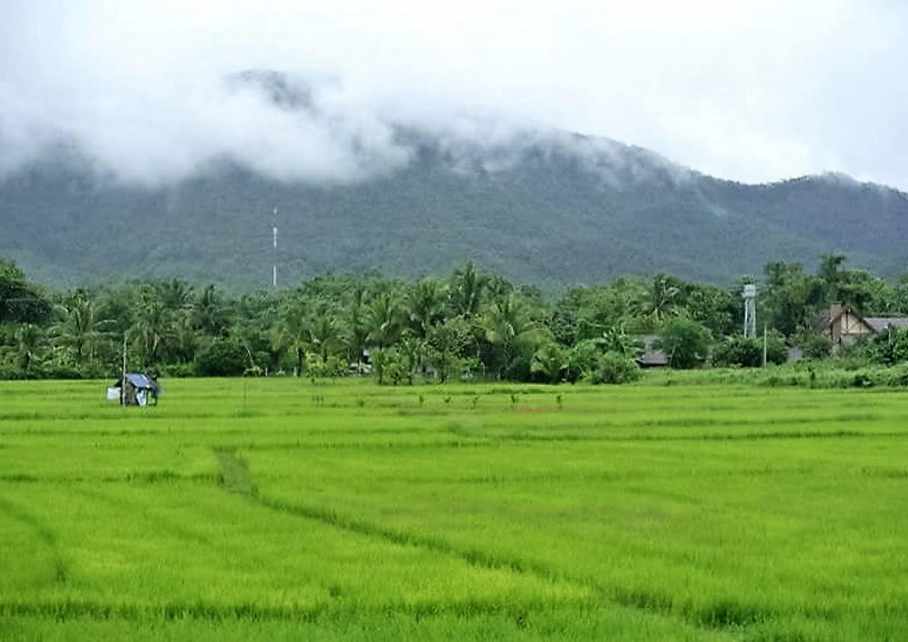 Ban Thung Ma NieoJamjuree Garden住宿加早餐旅馆 外观 照片